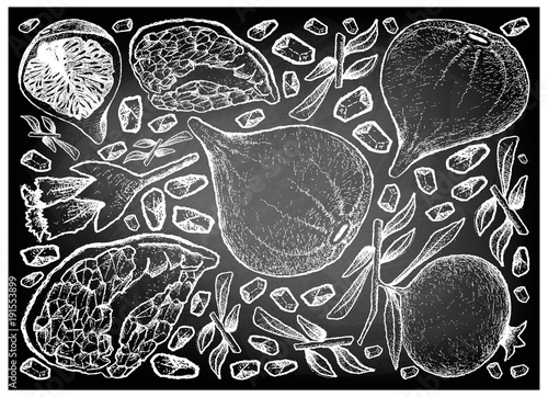 Hand Drawn of Figs and Pomegranate on Chalkboard Background