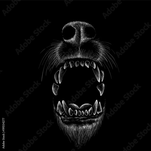 The Vector logo dog for T-shirt design or outwear.  Hunting tattoo dog  style background.