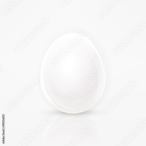 Realistic white egg vector