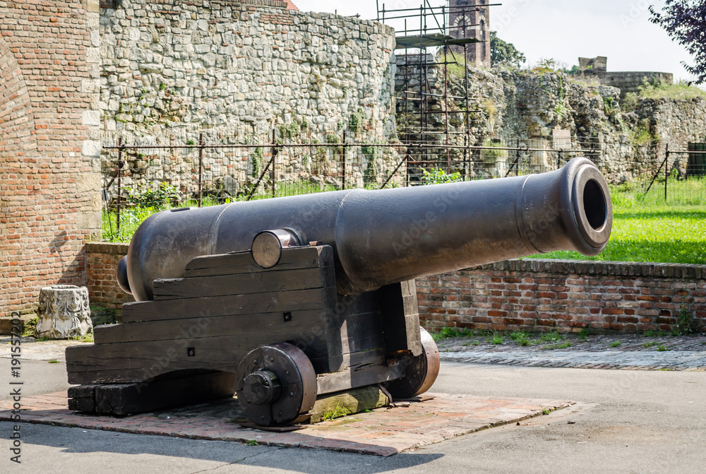 Old cannon at the Kalemegdan fortress 