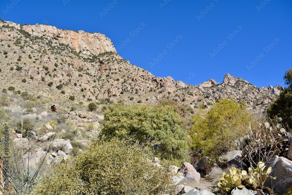Pima Canyon Landscape Tucson Arizona Sonoran Desert Pima Canyon Landscape Tucson Arizona Sonoran Desert