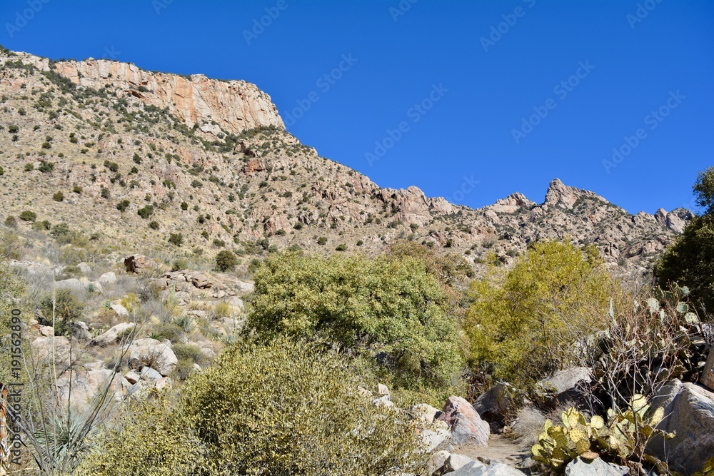 Pima Canyon Landscape Tucson Arizona Sonoran Desert