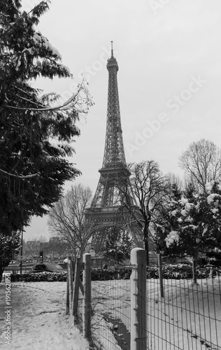 Fototapeta Naklejka Na Ścianę i Meble -  The black and white Eiffel tower from a garden with bare trees in winter, Paris, France.