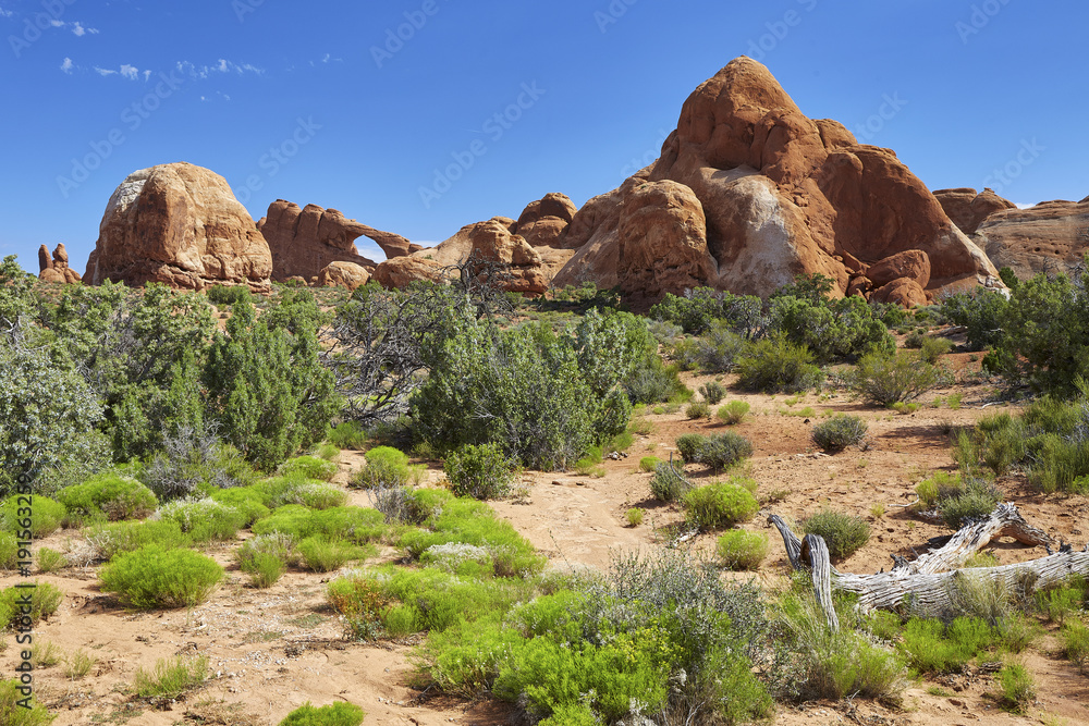 Fototapeta premium Skyline Arch, Arches National Park, Utah
