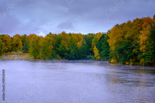 The river flows through the autumn forest.