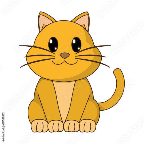 2018 02 06 GIU NIC 258