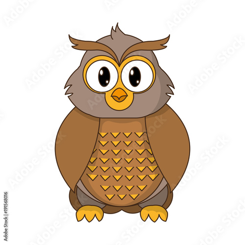 2018 02 06 GIU NIC 258