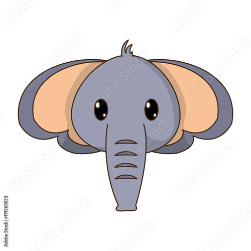 2018 02 06 GIU NIC 258