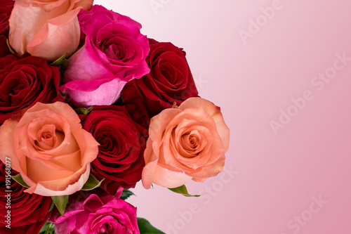 Pink and red rose bouquet with pale pink background