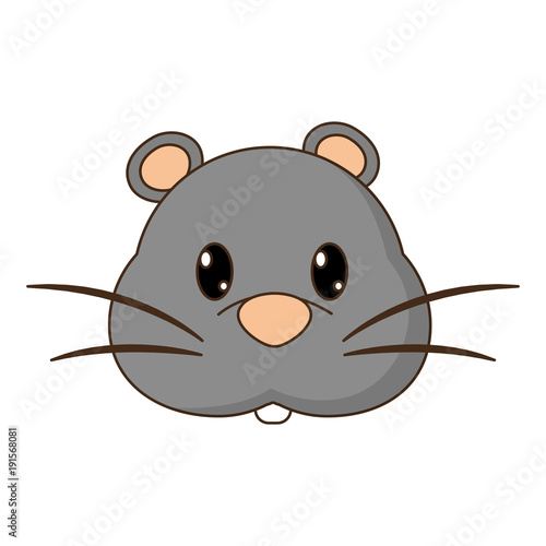 2018 02 06 GIU NIC 258