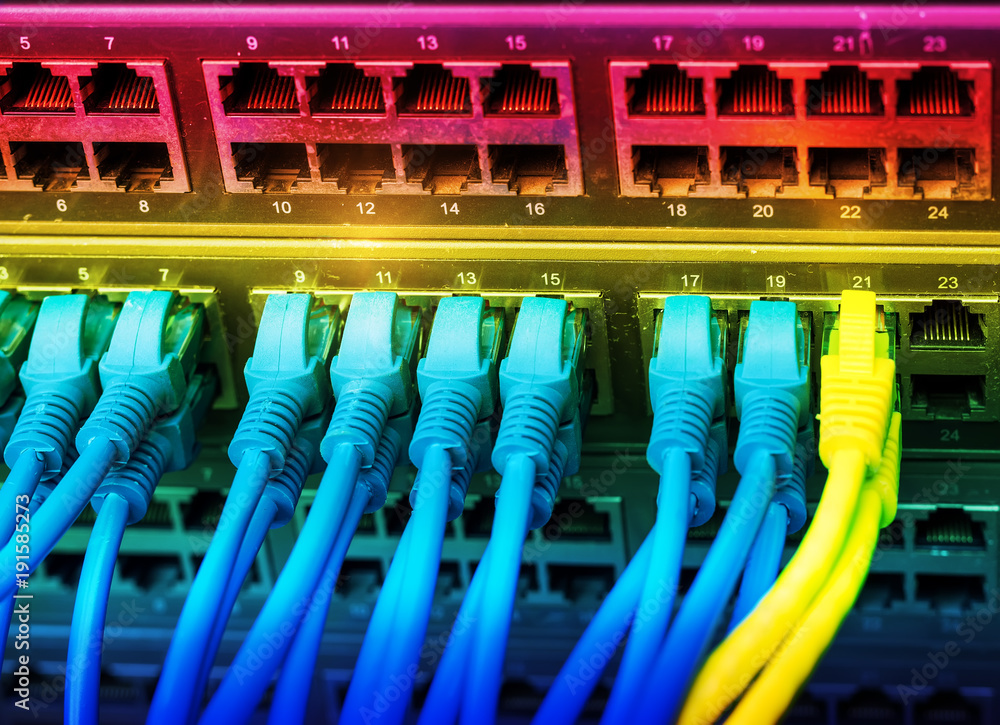 Fototapeta premium Cables Connected to Internet Switch.