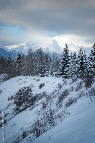 Canadian West - Winter Mood © Stefan