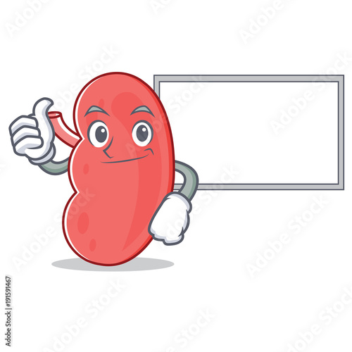 Thumbs up with board kidney character cartoon style