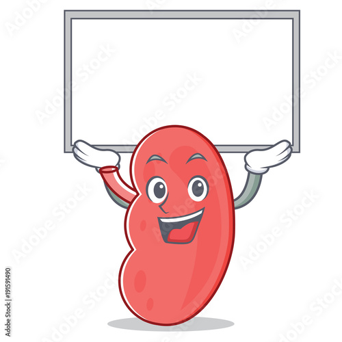 Up board kidney character cartoon style