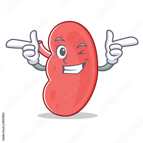 Wink kidney character cartoon style