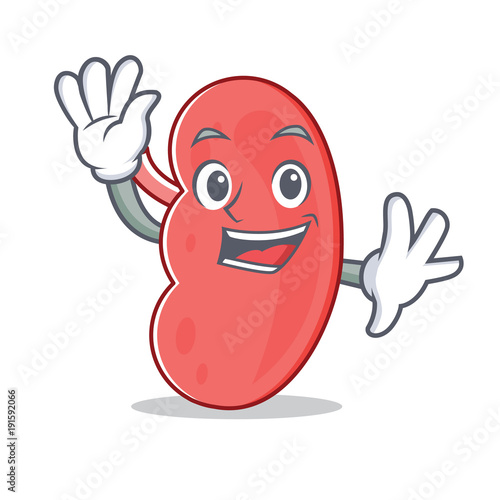 Waving kidney character cartoon style