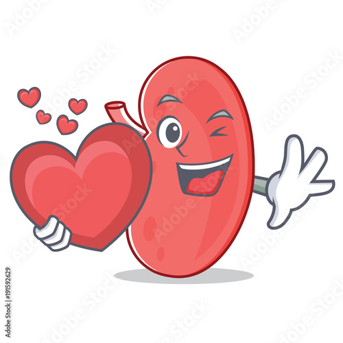 With heart kidney mascot cartoon style