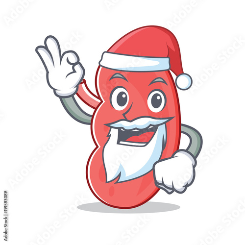 Santa kidney mascot cartoon style
