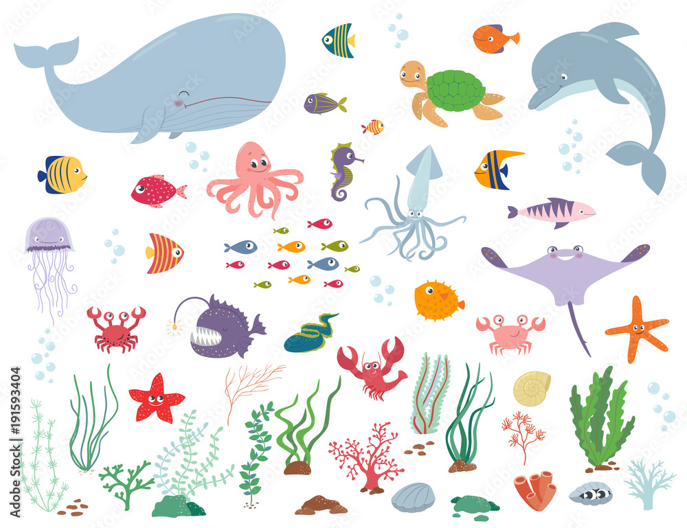 Naklejka premium Zwierzęta morskie i rośliny wodne. Ilustracja kreskówka wektor