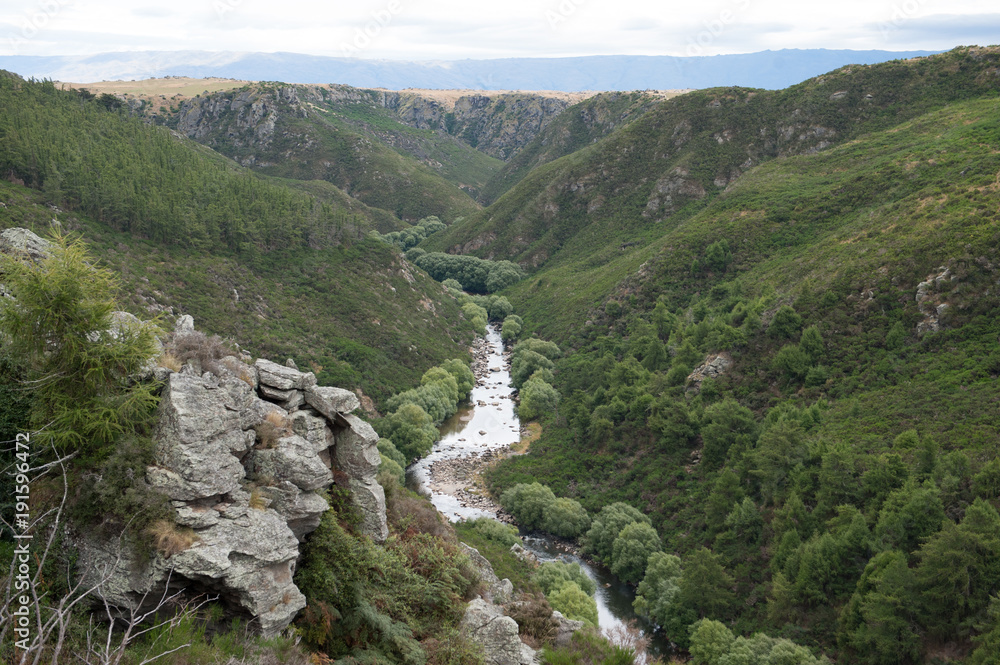 Flusstal bei Pukerangi in Neuseeland