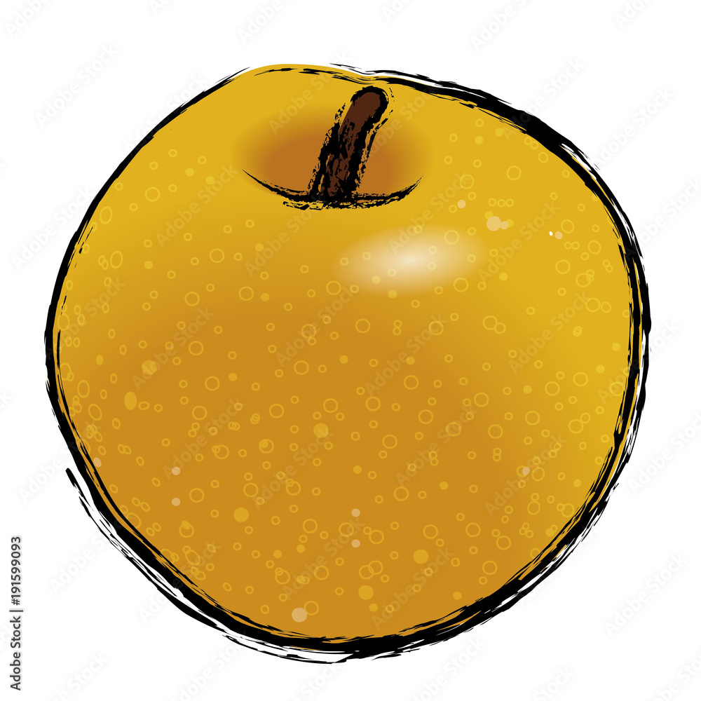 梨のイラスト ナシの実 手描き風イラスト 墨絵 ベクターデータ Stock Vector Adobe Stock