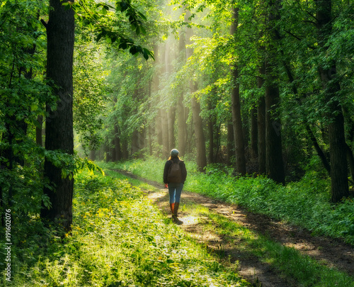 spring forest. woman in a picturesque forest. beautiful sun rays © sergnester