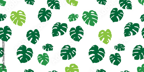 Monstera seamless pattern vector leaf leaves isolated wallpaper background