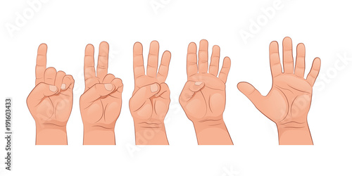 A set of hands. The finger gestures. Vector illustration isolated on white background.