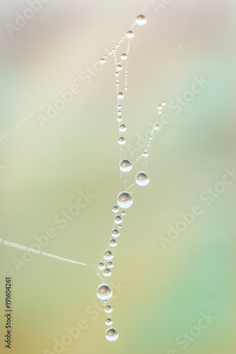 Tanz der Wasserperlen