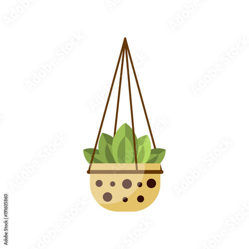 Green leafy house plant, indoor flower in pot, elegant home decor vector Illustration