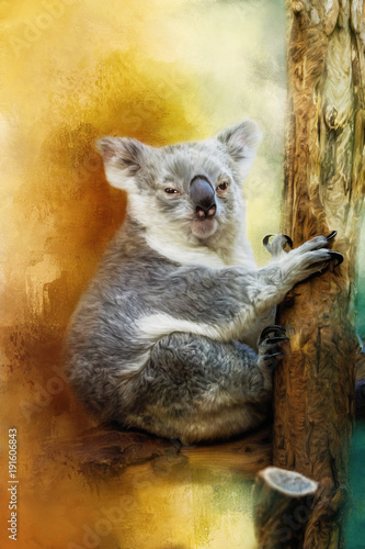 Fototapeta Naklejka Na Ścianę i Meble -  A cute painted koala sits on a tree trunk.
