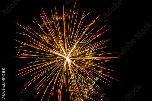 Wallpaper Mural Brightly colorful fireworks a variety of colors in the sky at night Torontodigital.ca