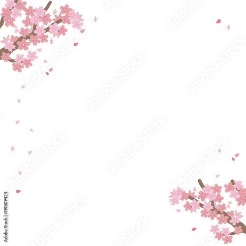 桜　フレーム　イラスト
