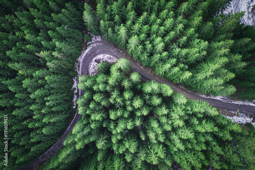Empty road in a forest from a drone