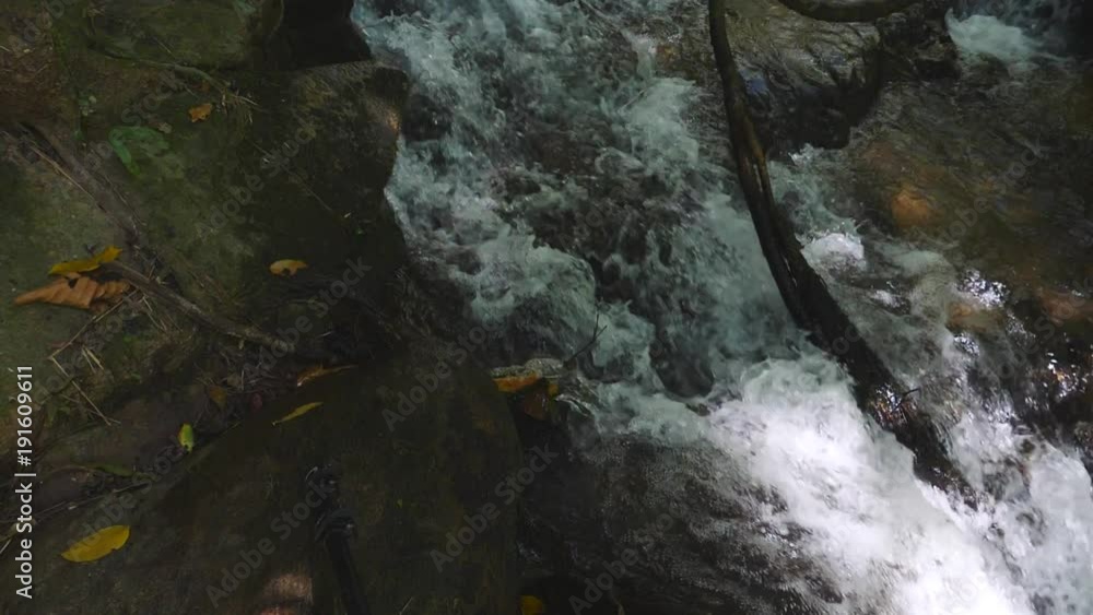 Tropical forest jungle with waterfall in slow motion, 180 frames per second, speed slowed down to 29.97fps , water falling down in shadow of trees Tropical forest jungle with waterfall in slow motion, 180 frames per second, speed slowed down to 29.97fps , water falling down in shadow of trees