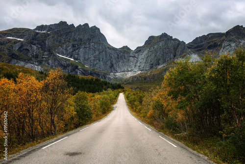 Scenic road on Lofoten islands in Norway on a sunny autumn day