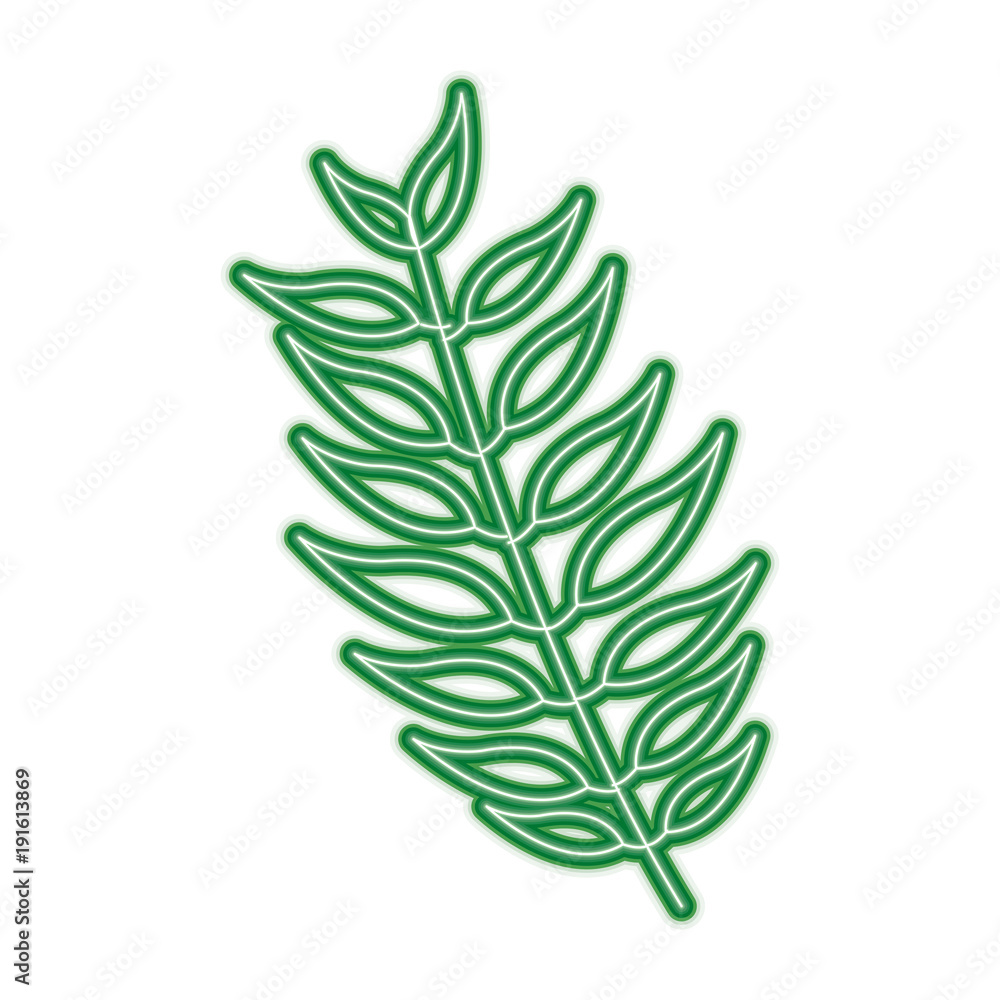 Fototapeta premium tree branch with leaves plant natural vector illustration green line image