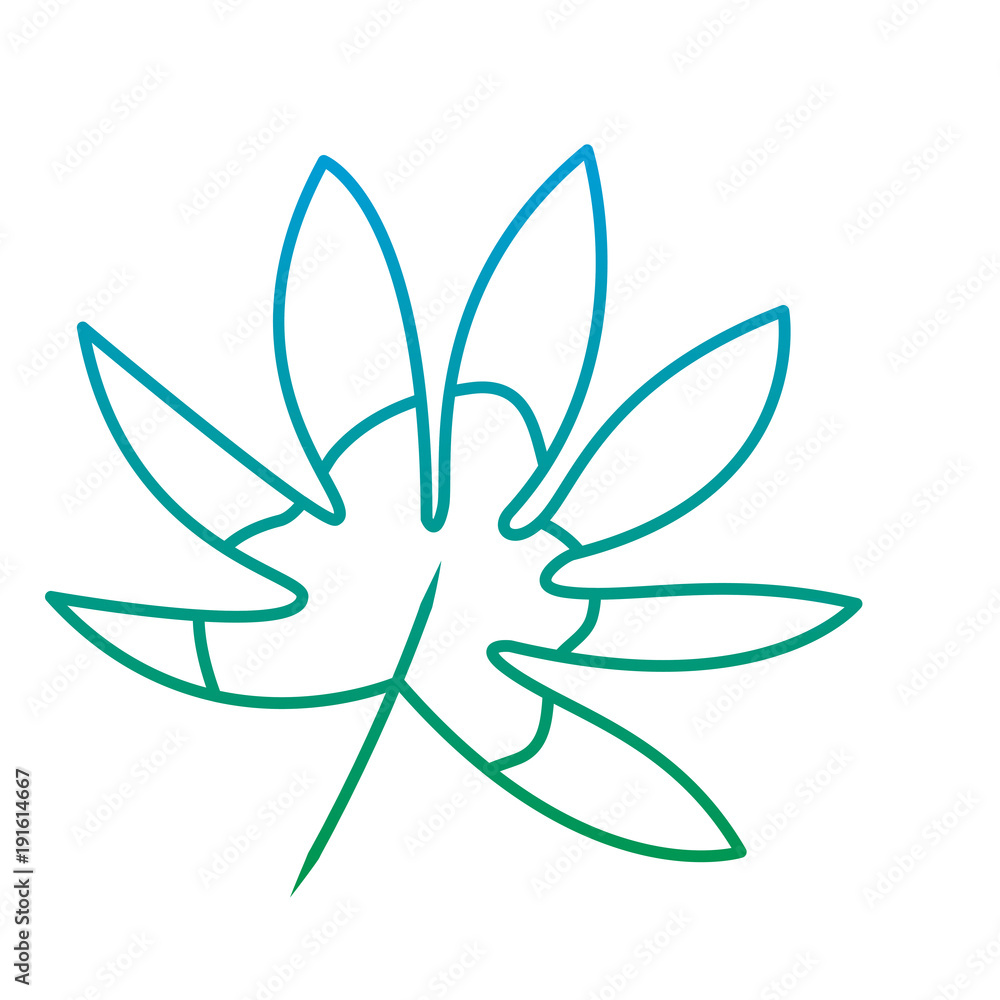 tropical leaf season eco nature vector illustration green color line image tropical leaf season eco nature vector illustration green color line image