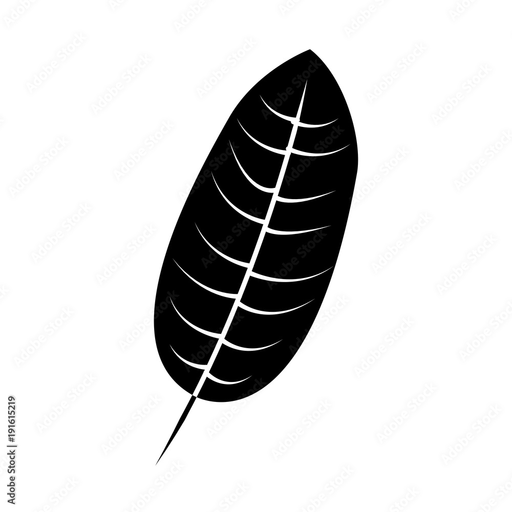 tropical leaf season eco nature vector illustration tropical leaf season eco nature vector illustration
