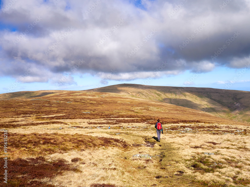 A hiker walking towards Miton Hill and High Pike from the summit of Carrock Fell in the English Lake District, UK.