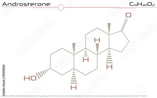 Large and detailed infographic of the molecule of Androsterone photo