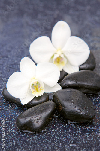 Fototapeta Naklejka Na Ścianę i Meble -  Two orchid flowers and stones. Spa background.