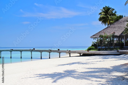 Beautiful island with pristine coral reef, white sand beaches and coconut tree in Maldive island. Maldives paradise beach scene in summer time.