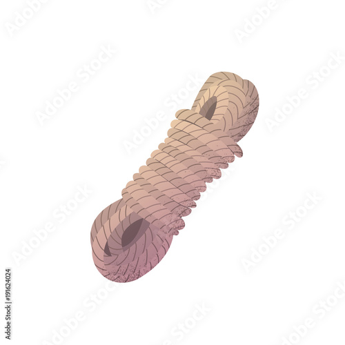 Rope coil camping vector illustration