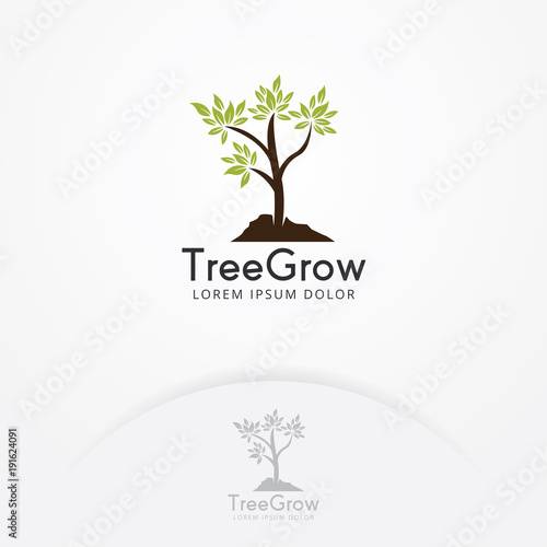 Tree logo design, Sapling grow vector logo template. Green life vector logo template