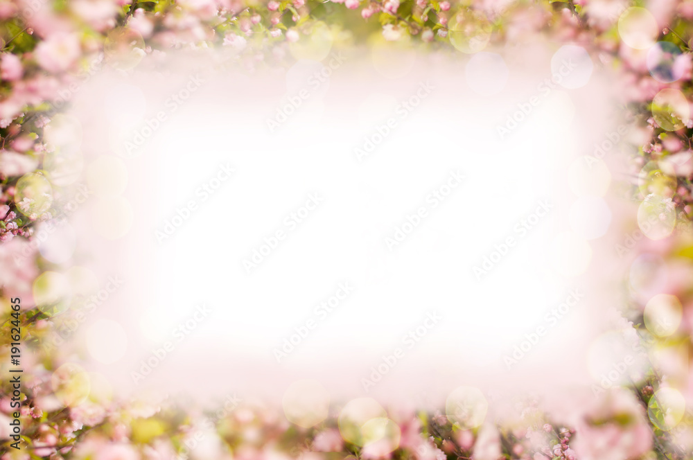Spring background frame template for design. Flowering sakura branches. Soft focus and bokeh Spring background frame template for design. Flowering sakura branches. Soft focus and bokeh