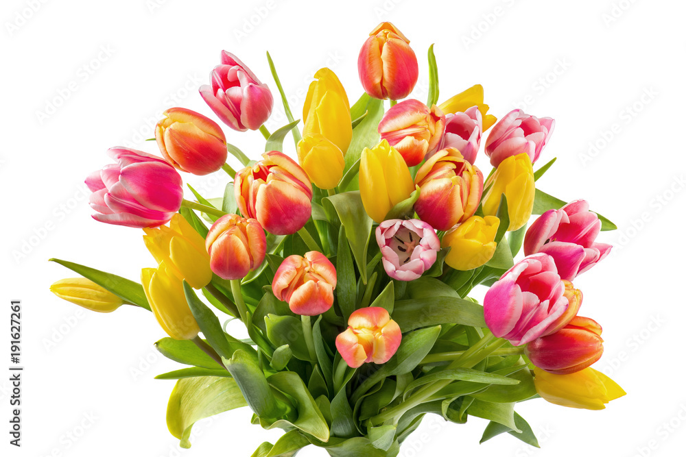 Strauß bunter Tulpen, isoliert Strauß bunter Tulpen, isoliert