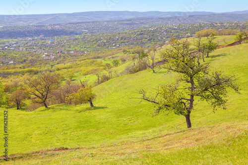 green hills in the spring