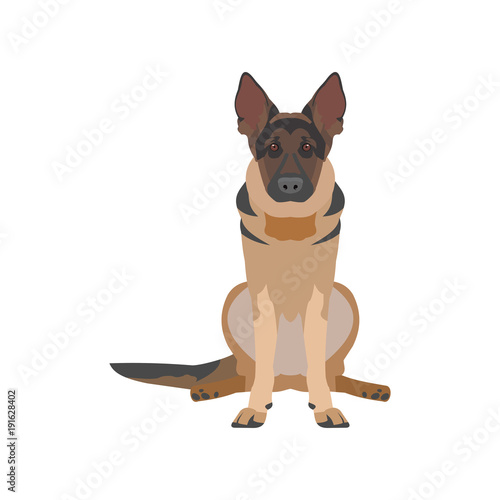 flat illustration of a dog