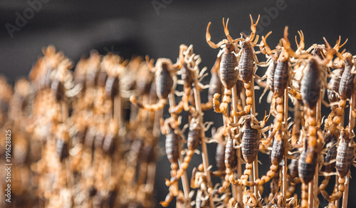 Skorpione am Spieß - Peking, China. © weixx